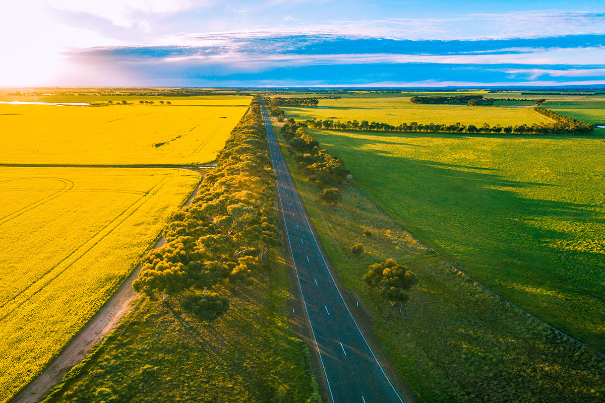 Regional Victoria Cariology